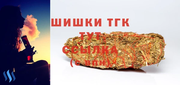 шишки Гусев