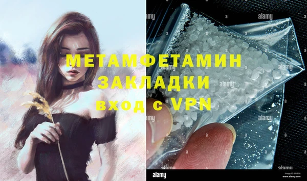 шишки Гусев