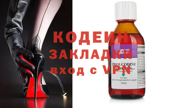 шишки Гусев