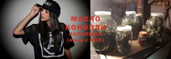 шишки Гусев