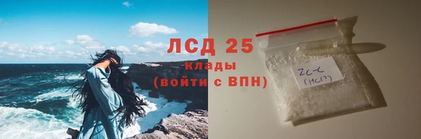 шишки Гусев