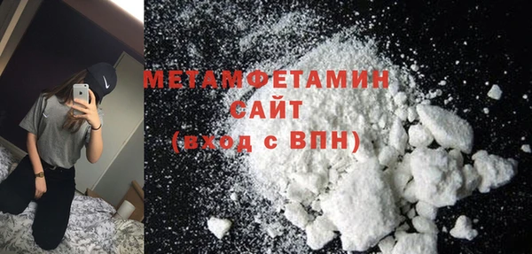 шишки Гусев
