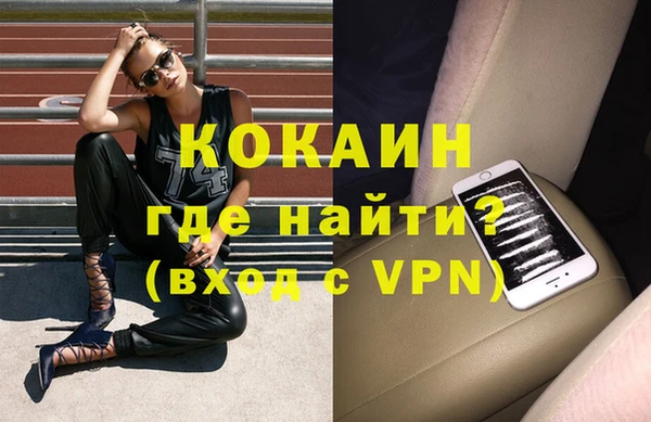 шишки Гусев