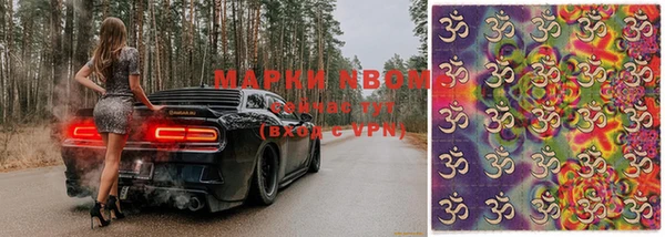 шишки Гусев