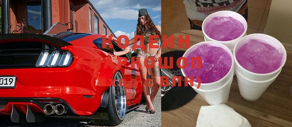 шишки Гусев