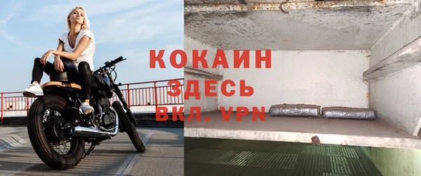 шишки Гусев